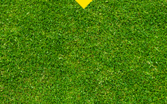 ピタっとラインの使い方