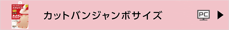 カットバンジャンボサイズ
